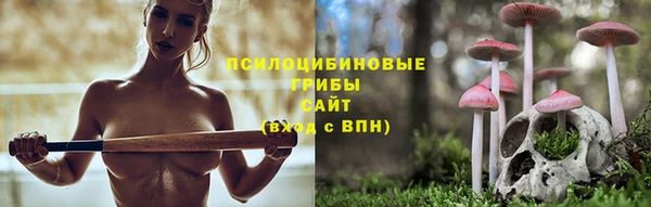 мяу мяу мука Алексеевка