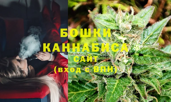 трава Алзамай