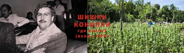 трава Алзамай