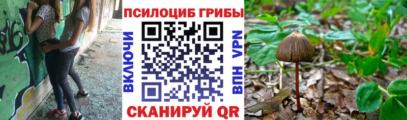 Псилоцибиновые грибы прущие грибы Разумное